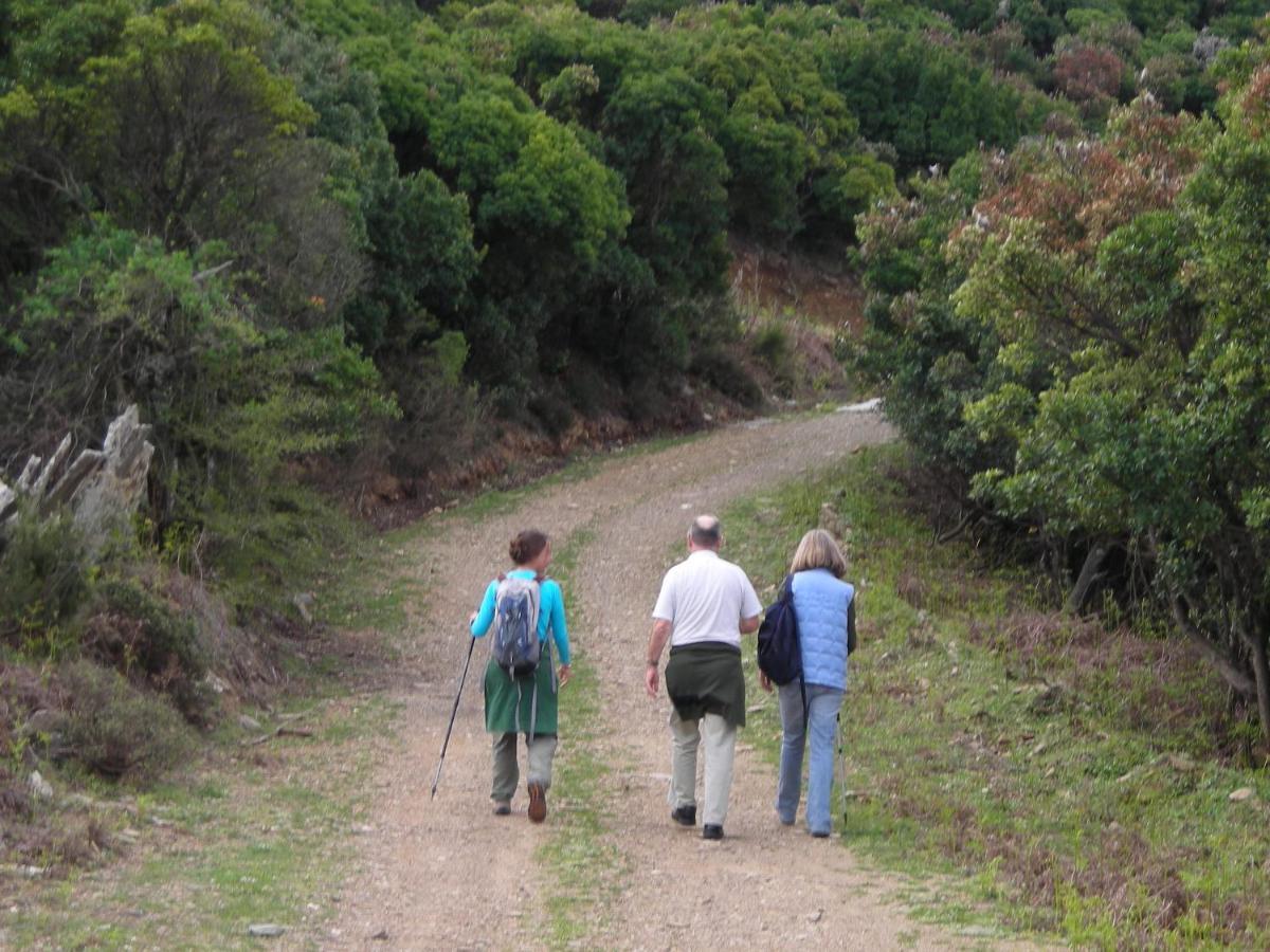 Ikarian Centre - Accommodation & Mountain Hiking Evdhilos Bagian luar foto